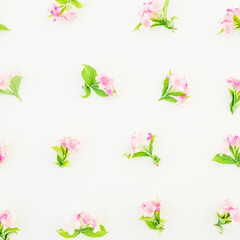 Floral pattern of pink flowers and leaves on white background. Flat lay, top view