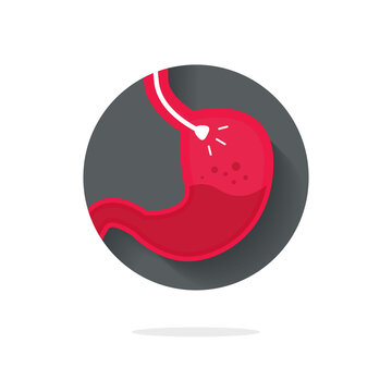 Stomach Endoscopy Vector Icon, Flat Cartoon Endoscope In Stomach Through Esophagus, Gastroscopy Logo Symbol Idea