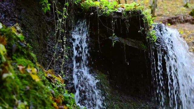 Rusyliv Falls, waterfalls cascade on a small stream (tributary of Stripa); natural monument of local importance.Southeast of the village Rusylova, Buchach district, Ternopil region, Ukraine.