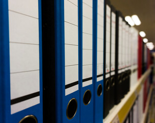 Folders for papers stand in a row