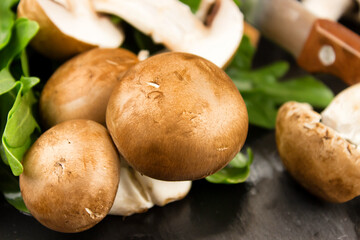 Fresh raw mushrooms brown champignons and green arugula on a dark background in a low key