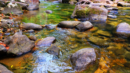 Fototapeta na wymiar natural clean water in stream. waterfall.