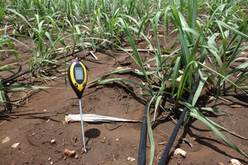 soil meter for measured 4 indicator in the soil including PH, Lux meter, temperature, Moisture in...