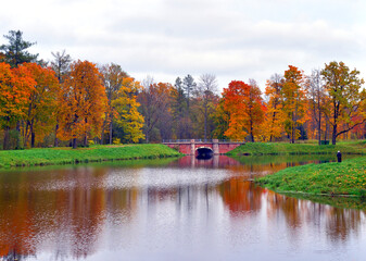 Fototapeta na wymiar Park and pond at autumn.