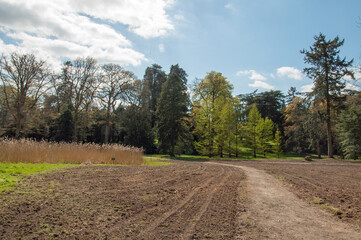 Springtime landscape in Worcestershire, UK.