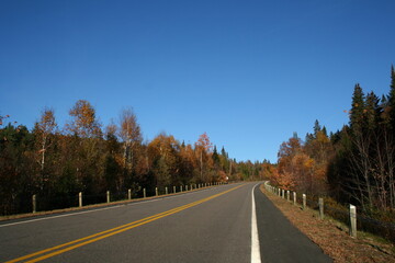 Autumn road in national park