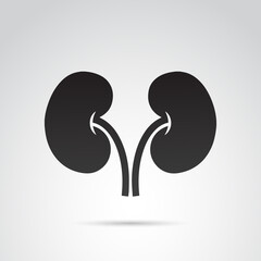 Kidney vector icon. - 157544159