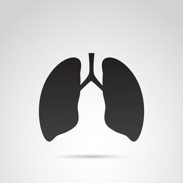Lungs vector icon.