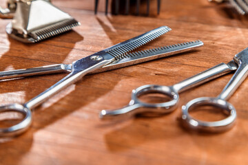 scissors and tools for dog grooming on the table