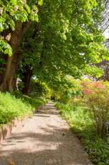 Springtime pathway in the English countryside,