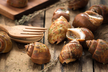 seafood babylonia areolata or Spotted babylon on wood
