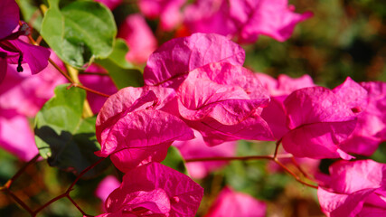 Photo from picturesque island of Agistri, Saronic gulf, Greece