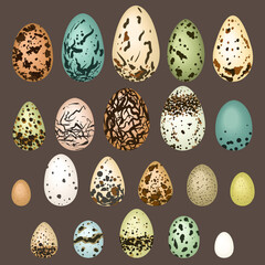 Different eggs types