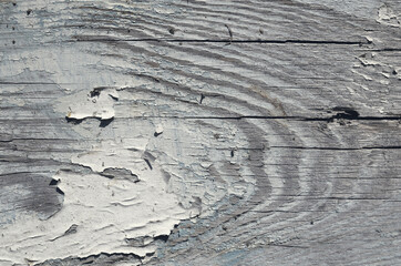 Wood texture with old paint, background