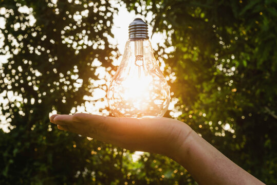 concept idea  hand hold light bulb solar energy
