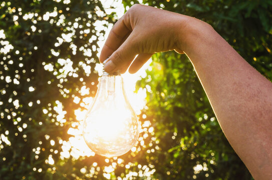 concept idea  hand hold light bulb solar energy in nature