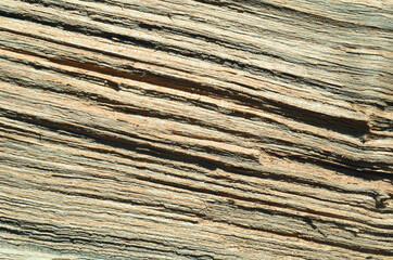 Fototapeta premium Texture wood board background