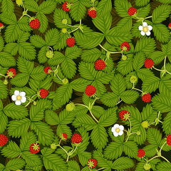 Бесшовная векторная текстура земляничной поляны с листьями, цветами, спелыми и зелеными ягодами земляники, вид сверху
