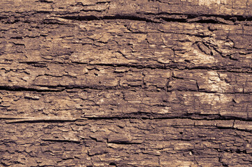 Loose texture of rotten wood