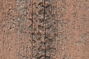 Texture of a wooden surface