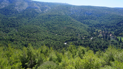 Obraz premium Photo of Kessariani area in Hymetus mountain, Attica, Greece