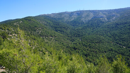 Naklejka na ściany i meble Photo of Kessariani area in Hymetus mountain, Attica, Greece