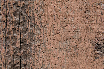 Texture of a wooden surface