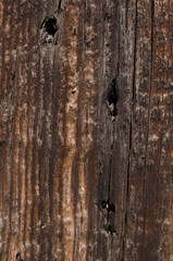 Board with a wooden texture