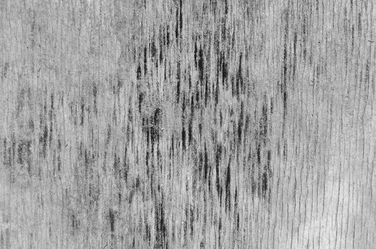 Burnt wood texture black and white color