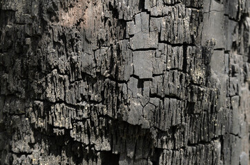Burnt wood surface, coals, cracks, background abstraction