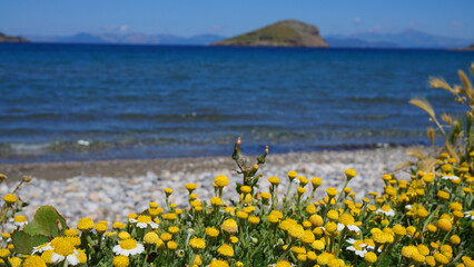 Fototapeta na wymiar Spring photo from Porto Rafti with clear water beaches, Mesogeia, Attica, Greece
