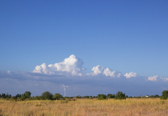 peaceful contryside landscape with field of wheat and clear blue sky