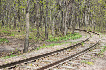 Fototapeta na wymiar railroad at the forest