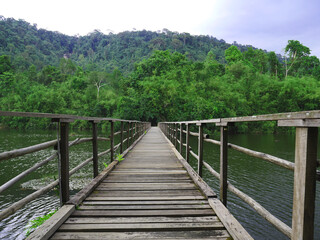 Fototapeta na wymiar Wood bridge to the Asian forest 