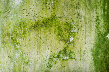 mossy concrete wall with peeling paint grunge texture