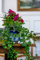 Fototapeta na wymiar Interior design detail: plant in a china porcelain pot on a table