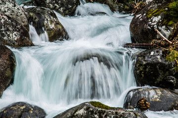 Naklejka na ściany i meble Forest stream running over mossy rocks.