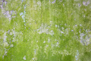 mossy concrete wall with peeling paint grunge texture