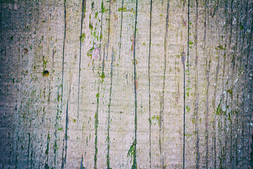 old white wood background texture with vignette and space for text