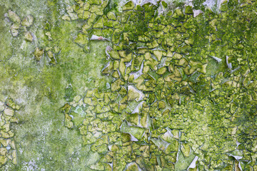 mossy concrete wall with peeling paint grunge texture