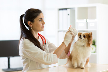 young vet doctor giving vaccination injection to pet dog