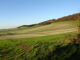 Rural Landscapes