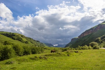 Fototapeta na wymiar Горный пейзаж, живописная долина в горах, красивый вид на зеленые холмы, небо в облаках, панорама горной местности, дикая природа Северного Кавказа