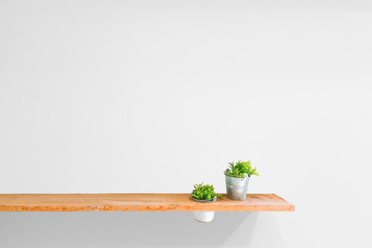 Wooden shelf on white vintage wall with plant.