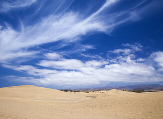 Fototapeta na wymiar dunas de Maspalomas