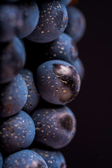 grape vines isolated , water drops ,macro shot , black background , ideal grapes bunch , closeup