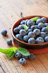 frische Heidelbeeren