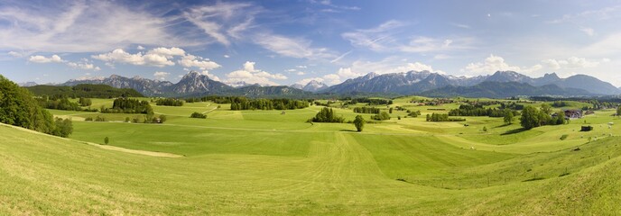 Blumenwiese im Frühling im Allgäu bei Füssen