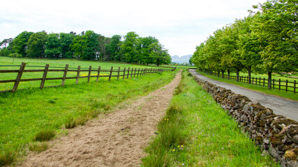 Naklejka premium Bridle path beside country road with fence and stone wall.