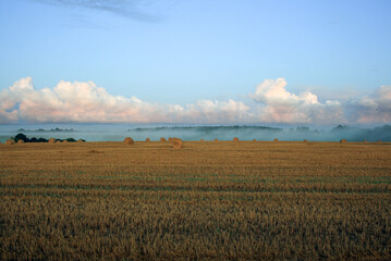 Fototapeta premium sunrise in field,latvia